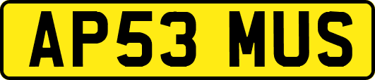 AP53MUS