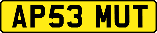AP53MUT