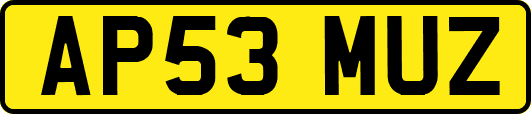 AP53MUZ