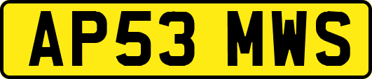 AP53MWS