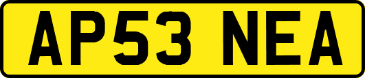 AP53NEA