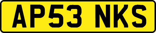 AP53NKS