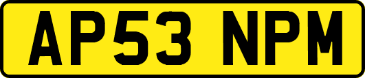 AP53NPM