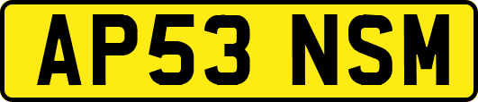 AP53NSM