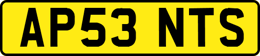 AP53NTS