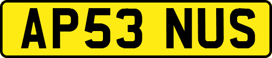 AP53NUS