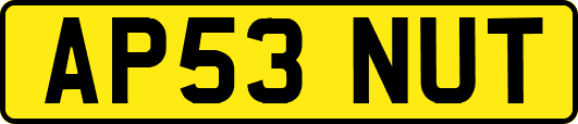 AP53NUT