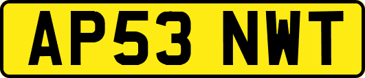 AP53NWT