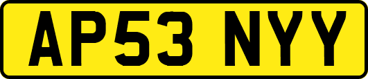 AP53NYY