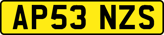 AP53NZS
