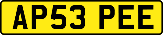 AP53PEE