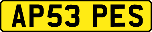 AP53PES