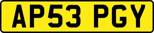 AP53PGY