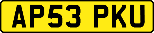 AP53PKU