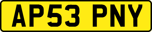 AP53PNY
