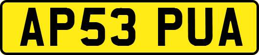 AP53PUA