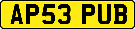 AP53PUB
