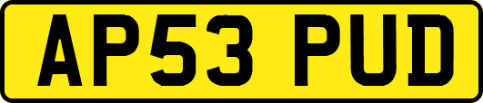 AP53PUD