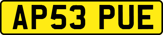AP53PUE