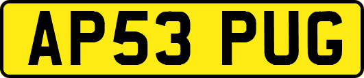 AP53PUG