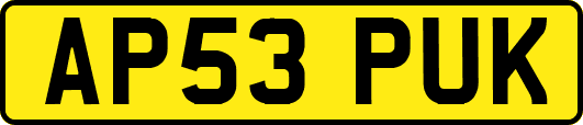 AP53PUK
