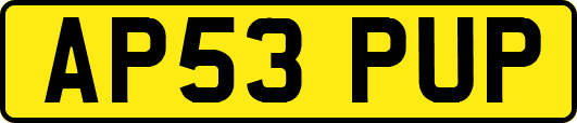 AP53PUP