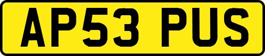 AP53PUS