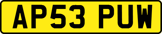 AP53PUW