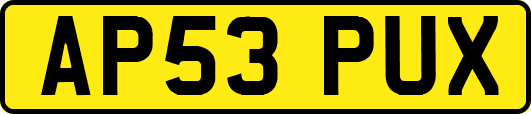 AP53PUX