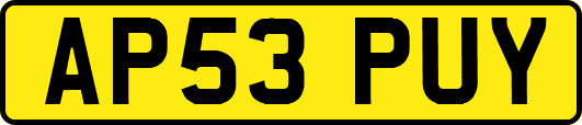 AP53PUY