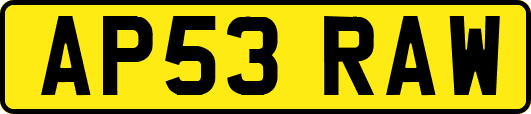 AP53RAW