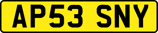 AP53SNY