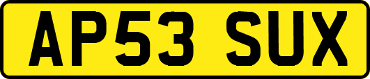 AP53SUX