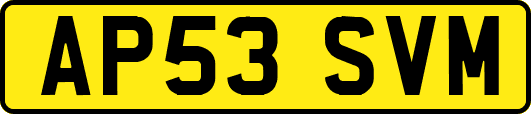AP53SVM