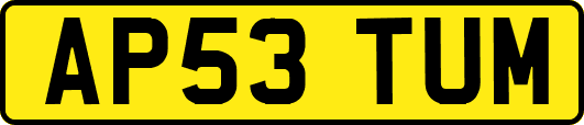 AP53TUM