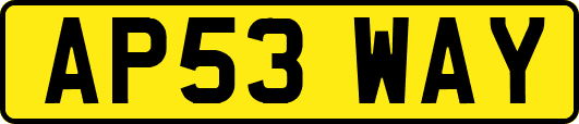 AP53WAY