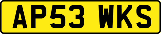 AP53WKS