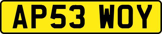 AP53WOY