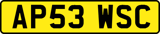 AP53WSC
