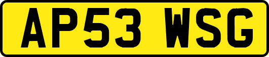 AP53WSG