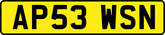 AP53WSN