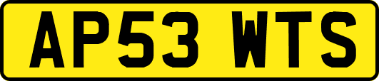 AP53WTS