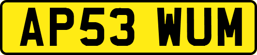 AP53WUM