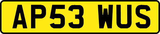AP53WUS