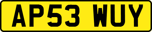 AP53WUY