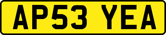 AP53YEA