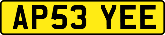 AP53YEE