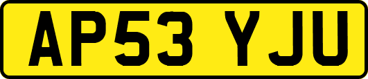 AP53YJU
