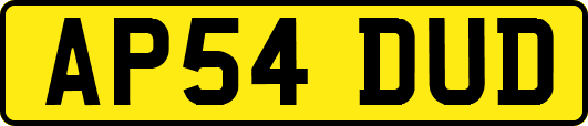 AP54DUD