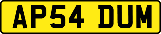 AP54DUM